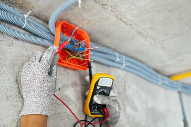 Best Electric Panel Repair  in Phillipsburg, GA